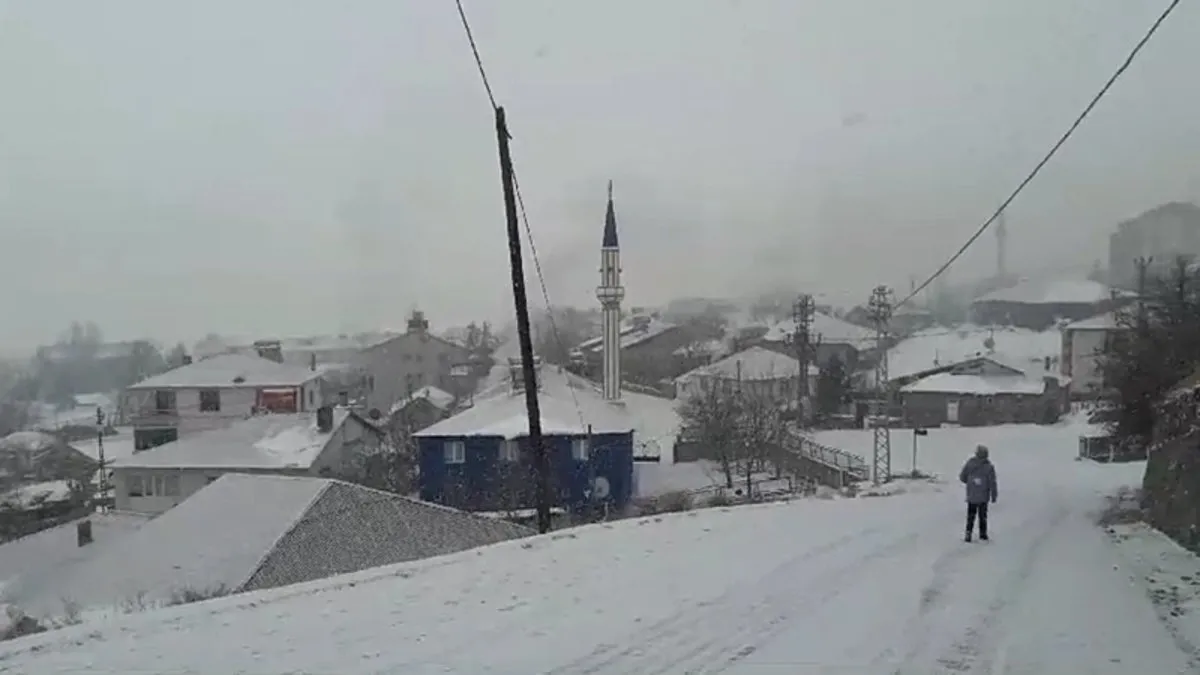 BingölKarlıova’da kar yağışı etkili oldu!